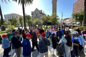 especialistas llamadas telefonicas andorra valparaiso Sapu Mena