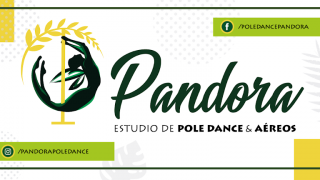 cursos de pole dance en valparaiso Pandora Estudio de Poledance
