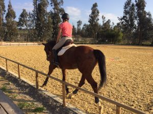 clases equitacion valparaiso Ecuestre Alemán de Limache