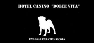 adiestramiento canino valparaiso Hotel Canino Dolce Vita
