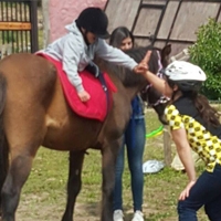 cursos equitacion valparaiso Equitacion Chicureo