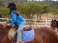 cursos equitacion valparaiso Hipoterapia. Equitación Recreativa. Capacitación. Vitalia Ecuestre - V Región. Chile
