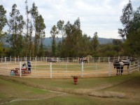 cursos equitacion valparaiso Hipoterapia. Equitación Recreativa. Capacitación. Vitalia Ecuestre - V Región. Chile