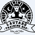 Lautaro Training Box, profile picture