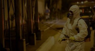empresas de fumigacion en valparaiso Bug's Hunter Control de Plagas Valparaíso-Viña