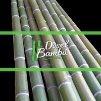 carpinterias y decoracion en valparaiso Dosel Bambú